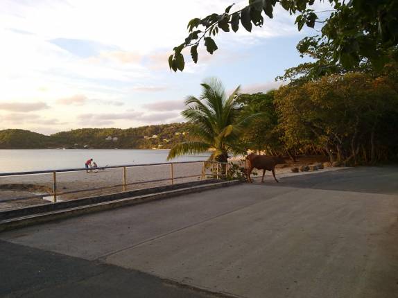 Praia de Brewers Bay, em Tortola - BVI